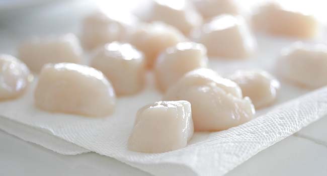 patting dry scallops with a paper towel