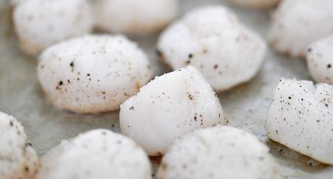 searing scallops in a hot pan with oil