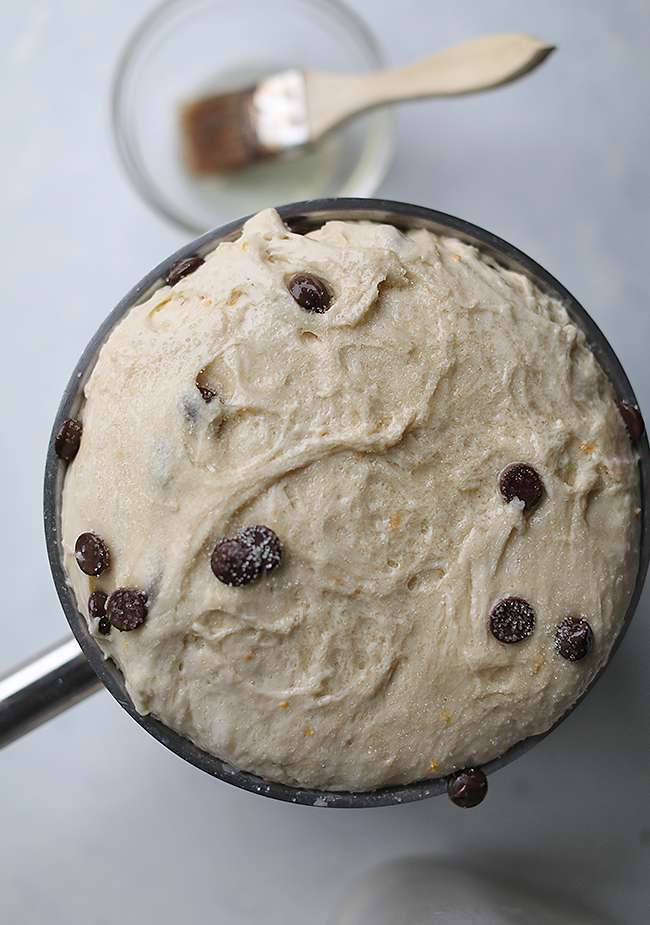 chocolate chips in a proofed panettone bread dough