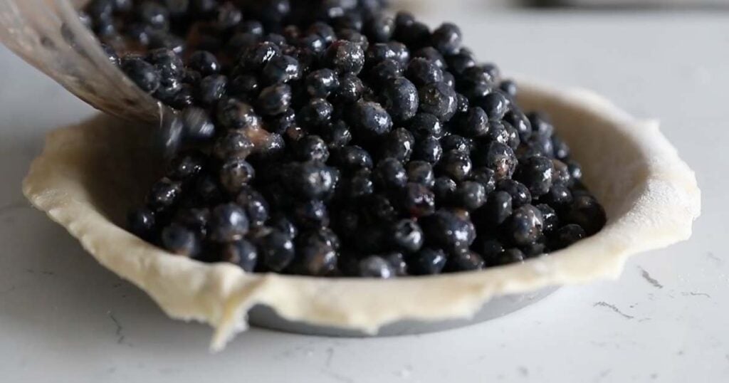 adding blueberries to a pie crust