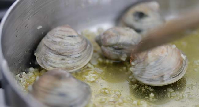 cooking clams with oil and garlic in a pan