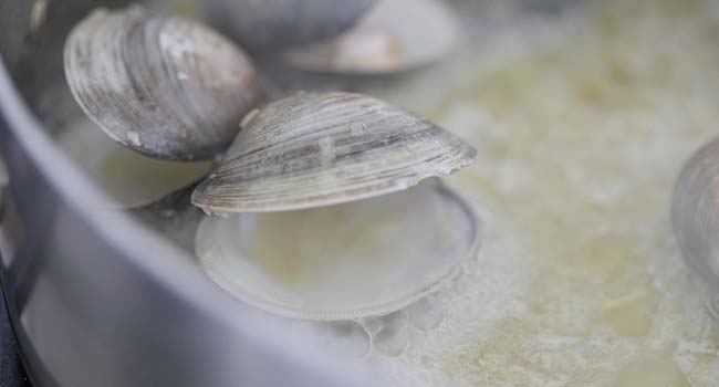 fresh clam opening up in a pan