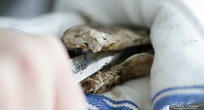 shucking a fresh oyster