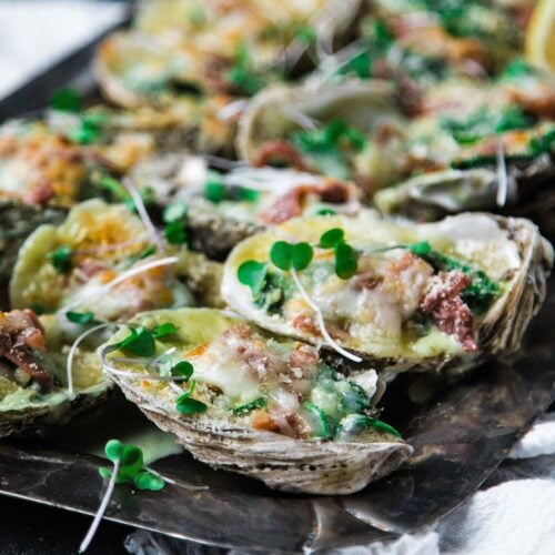Oysters Rockefeller Recipe Chef Billy Parisi