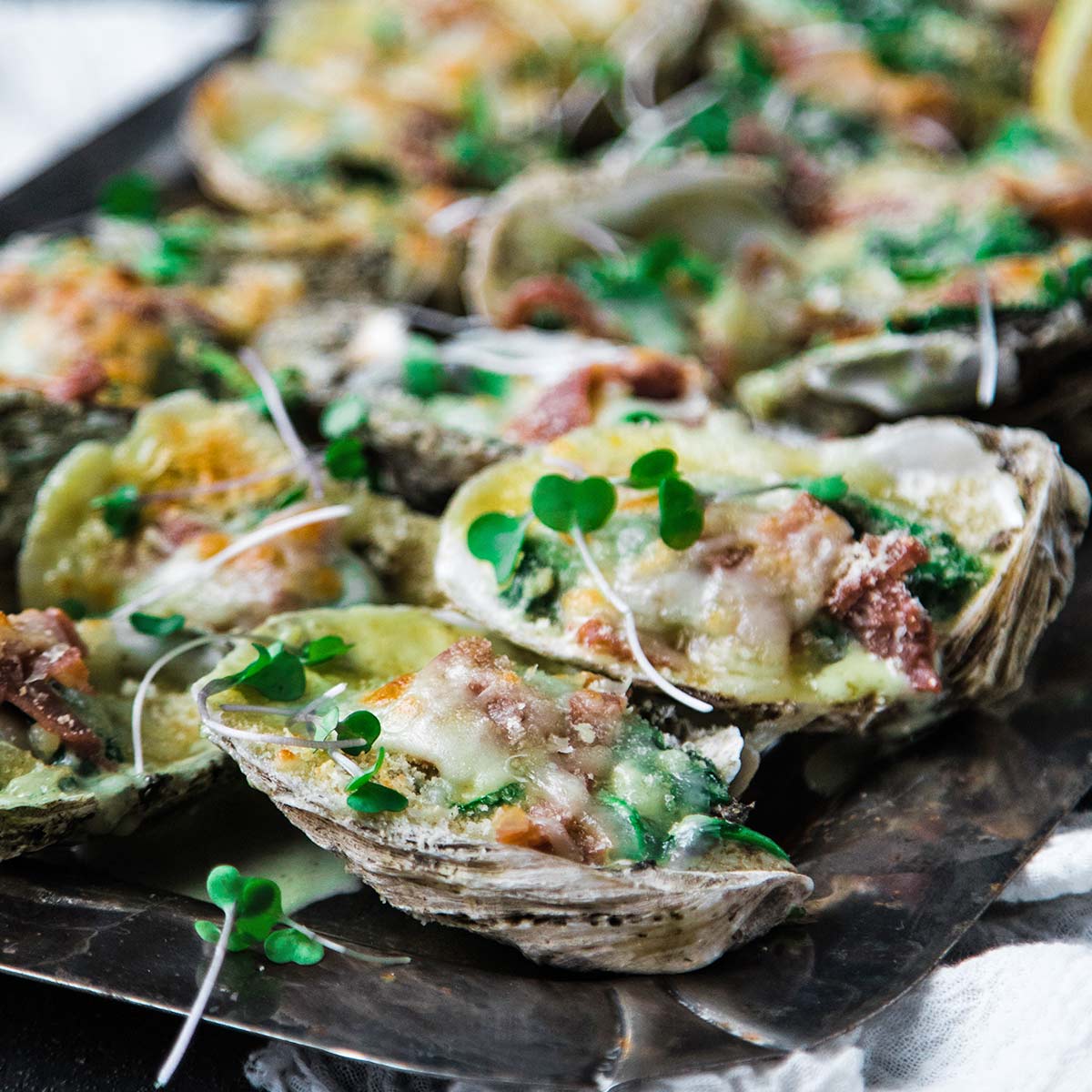 Bodega Bay Oyster Company - Oyster Grill Pans are back! You can make Oyster  Rockefeller in the oven, chill the plate and serve oysters on the half  shell, or skip the shellfish