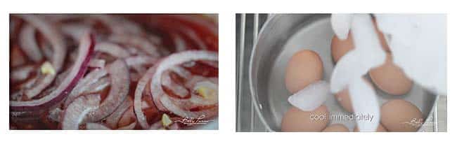 pickling thinly shaven red onions and hard boiling eggs