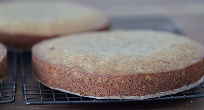 cooling hummingbird cakes