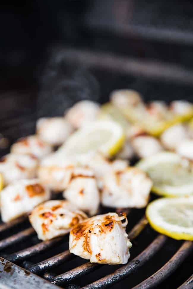grilled scallops