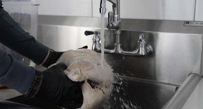 rinsing a turkey with cold water