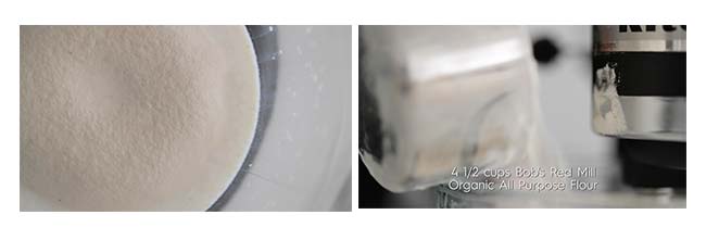 making a raft with yeast in a stand mixer