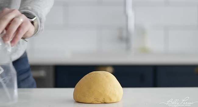 kneaded pasta dough