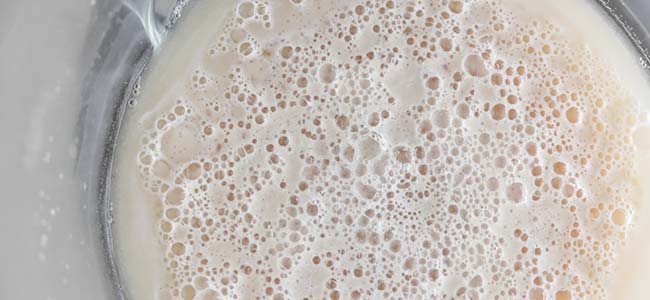 yeast raft in a bowl