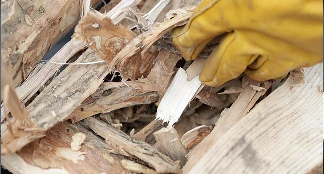 placing kindling and tinder between two logs in a fire pit