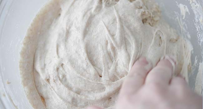 mixing in sourdough starter to autolyse dough in a bowl