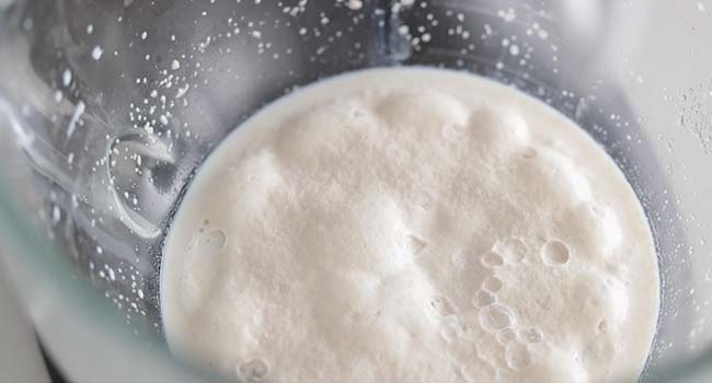 yeast and milk whisked together in a bowl to form a raft