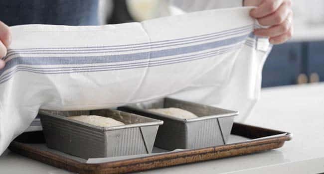 placing raw brioche dough into buttered loaf pans and covering them