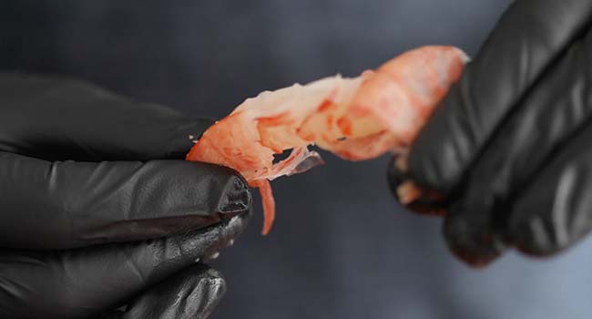 peeling fresh shrimp