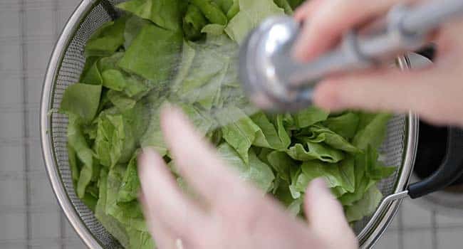 washing lettuce in the sink