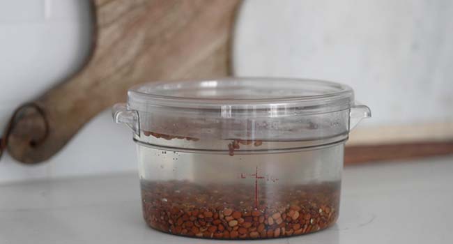 soaking red cowpeas in a plastic container