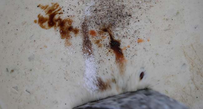 adding seasonings to a pot of creamy potato soup