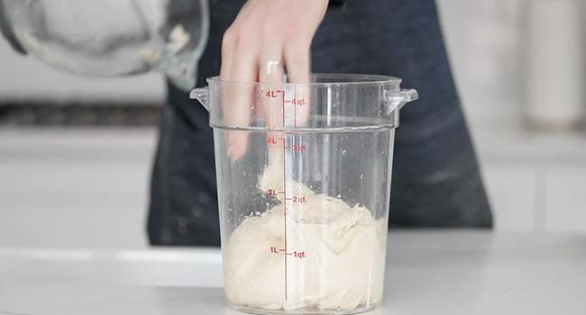 proofing pizza dough in a container