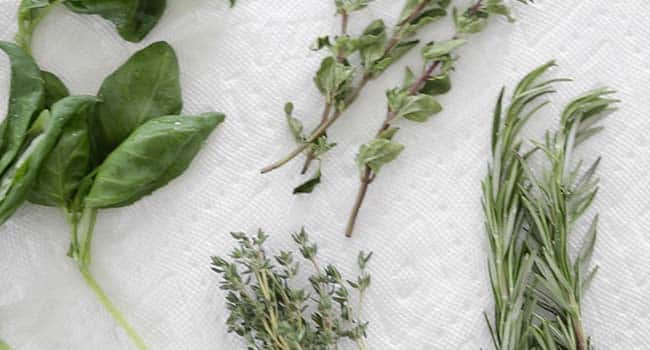 drying rinsed fresh herbs on a paper towel