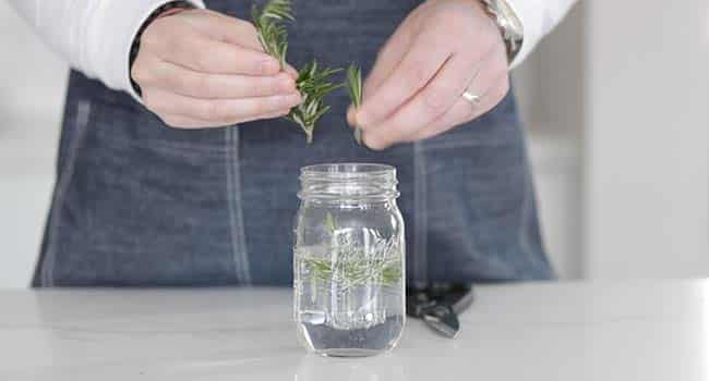 adding picked fresh herbs to a jar of cold water