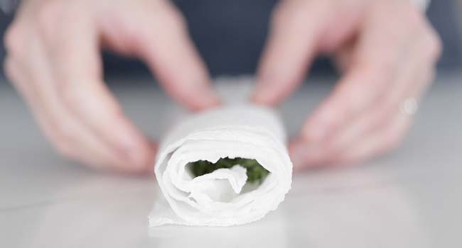 rolling up fresh herbs in a damp paper towel