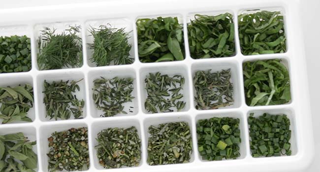 fresh chopped herbs into an ice cube tray