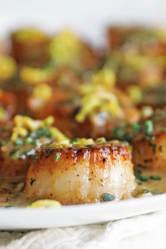 pan seared scallop with herb butter and lemon zest