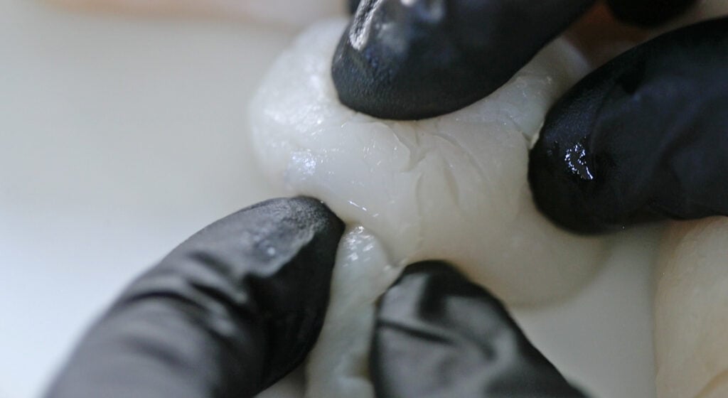 removing the foot of scallops
