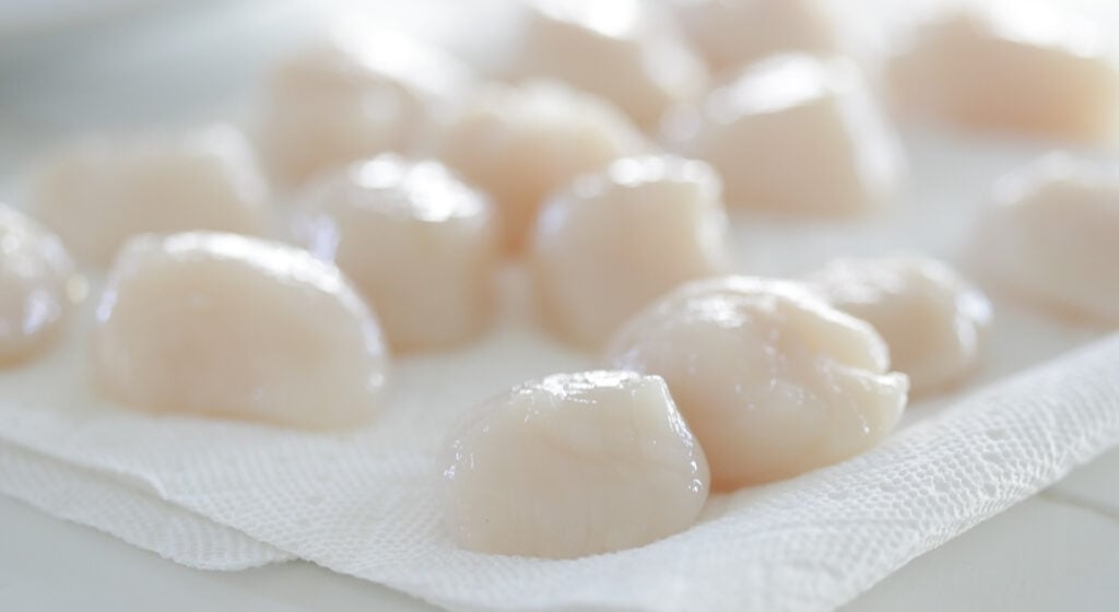 drying scallops with paper towels