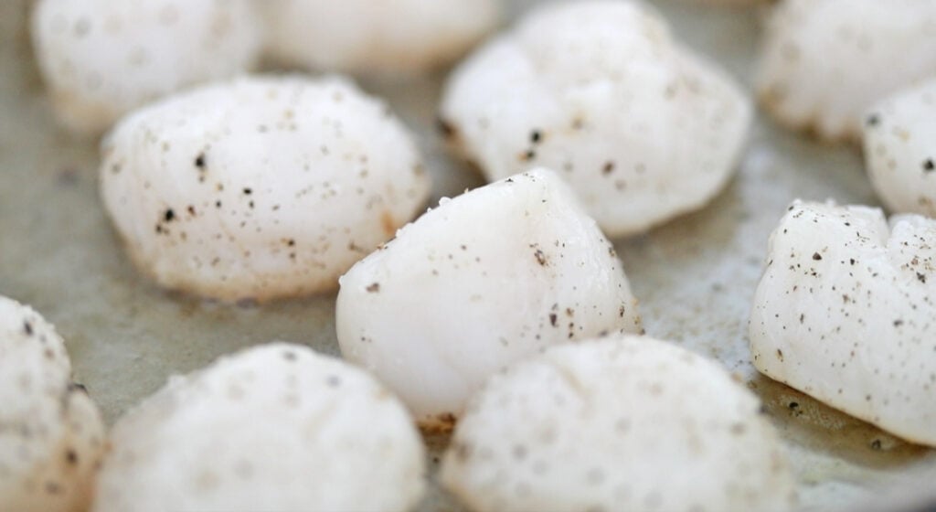 searing the scallops