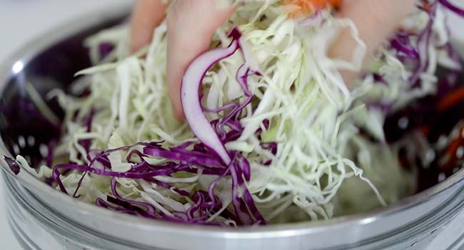 mixing shredded cabbage in a bowl