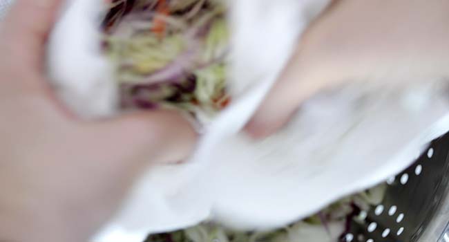 drying salted cabbage with paper towels