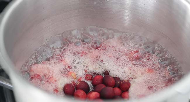 adding cranberries to sugar and water