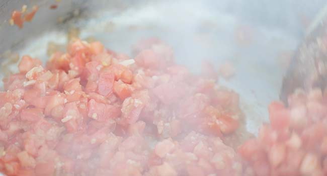 stewing tomatoes with onions in a pan