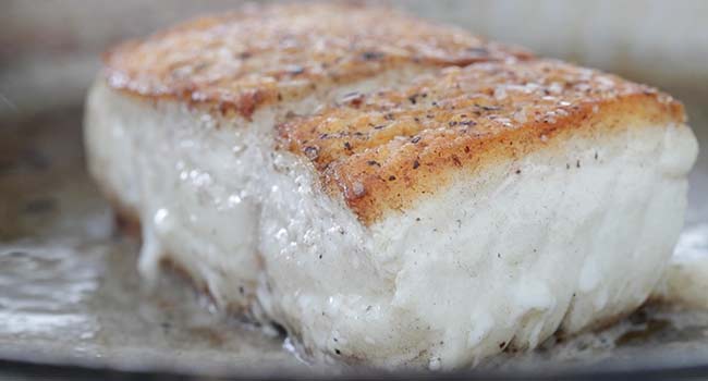 pan seared halibut