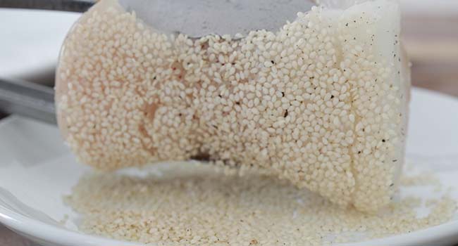 encrusting halibut in sesame seeds