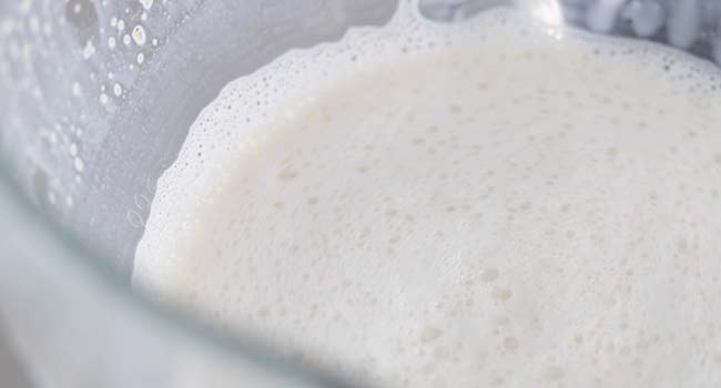 yeast mixed with hot milk