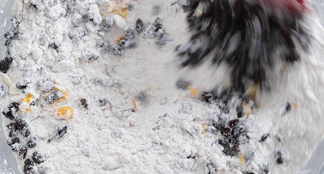 folding currants into flour