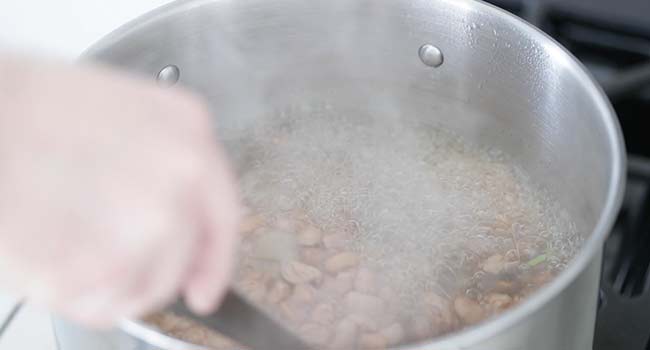 cooking beans in a pot