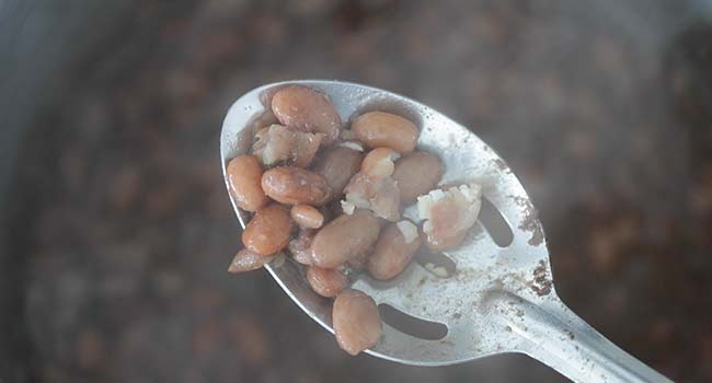 cooked pinto beans on a spoon