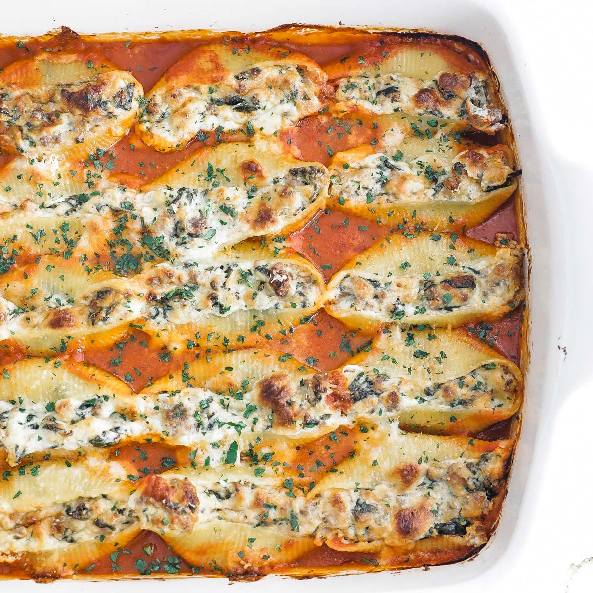 stuffed-shells