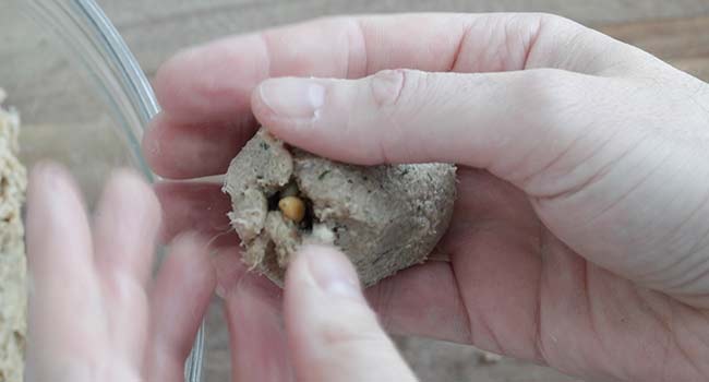 encasing a kibbeh ball