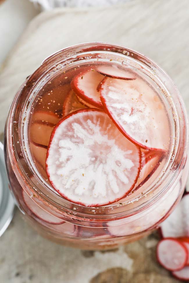 sliced radishes in a pickling brine