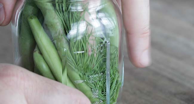 adding fresh dill to a jar with green beans