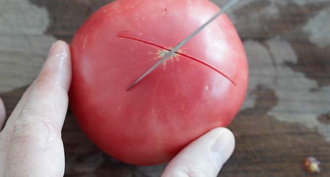 slicing an X on the bottom of a tomato