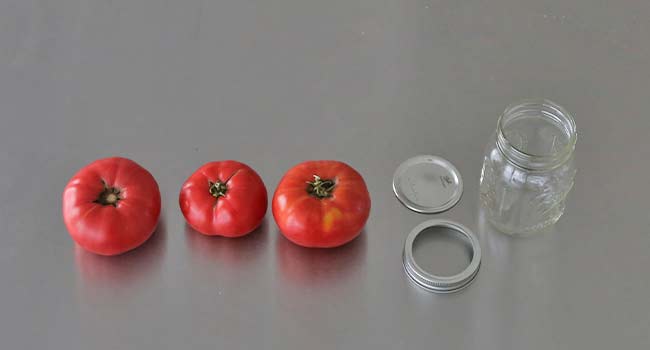 ingredients for canned tomatoes