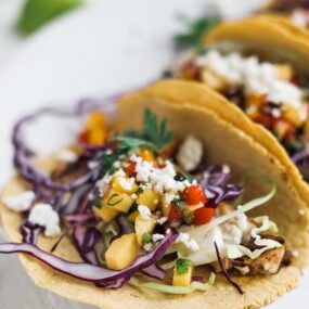 fish taco with salsa and cabbage